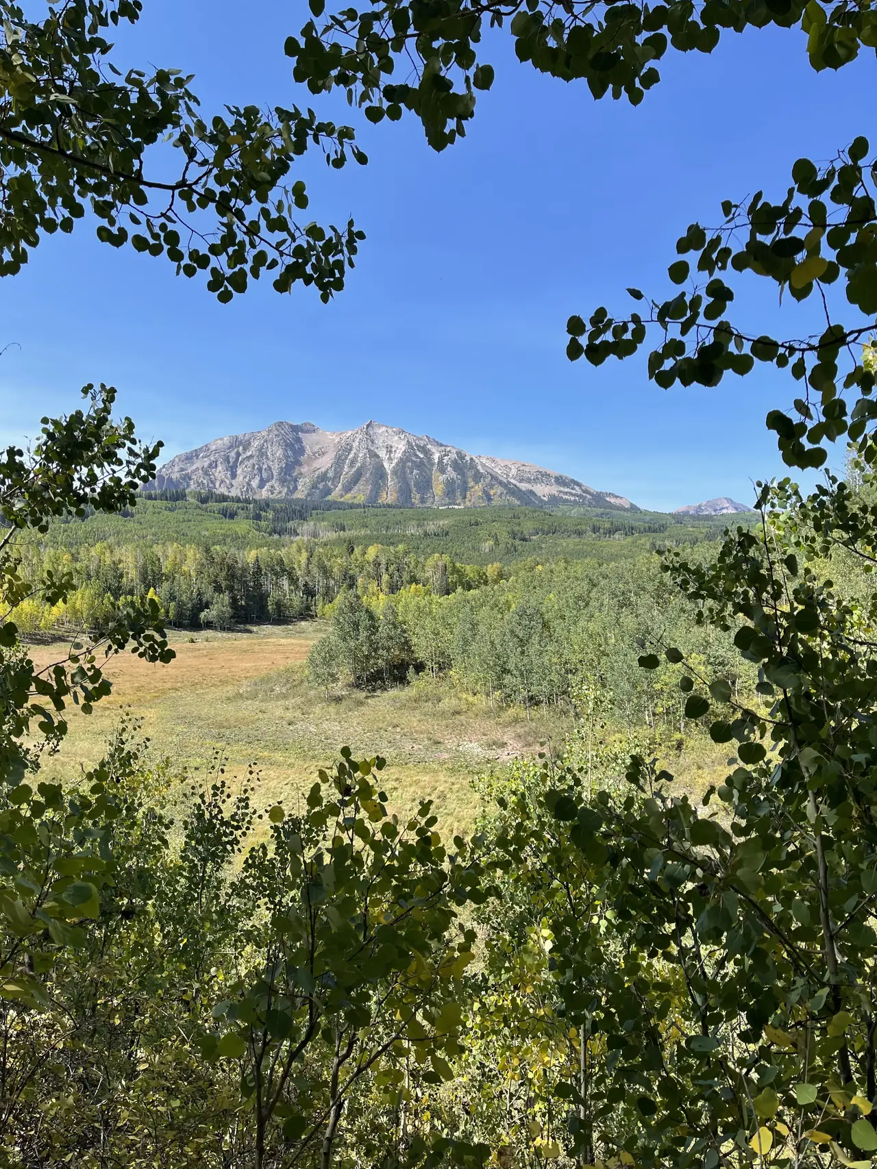 An aspen-framed view of a mountain and meadow in western Colorado