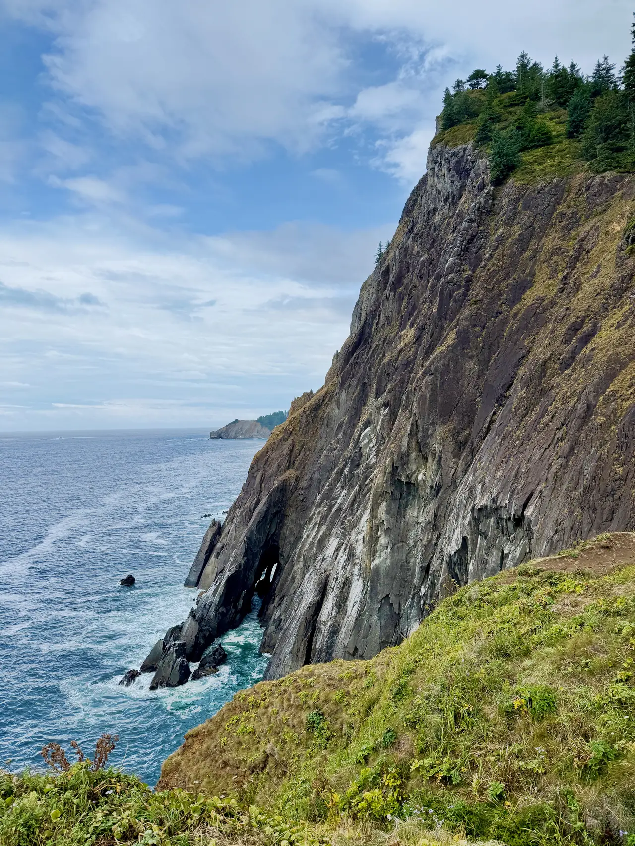 A green headland above the Oregon coast
