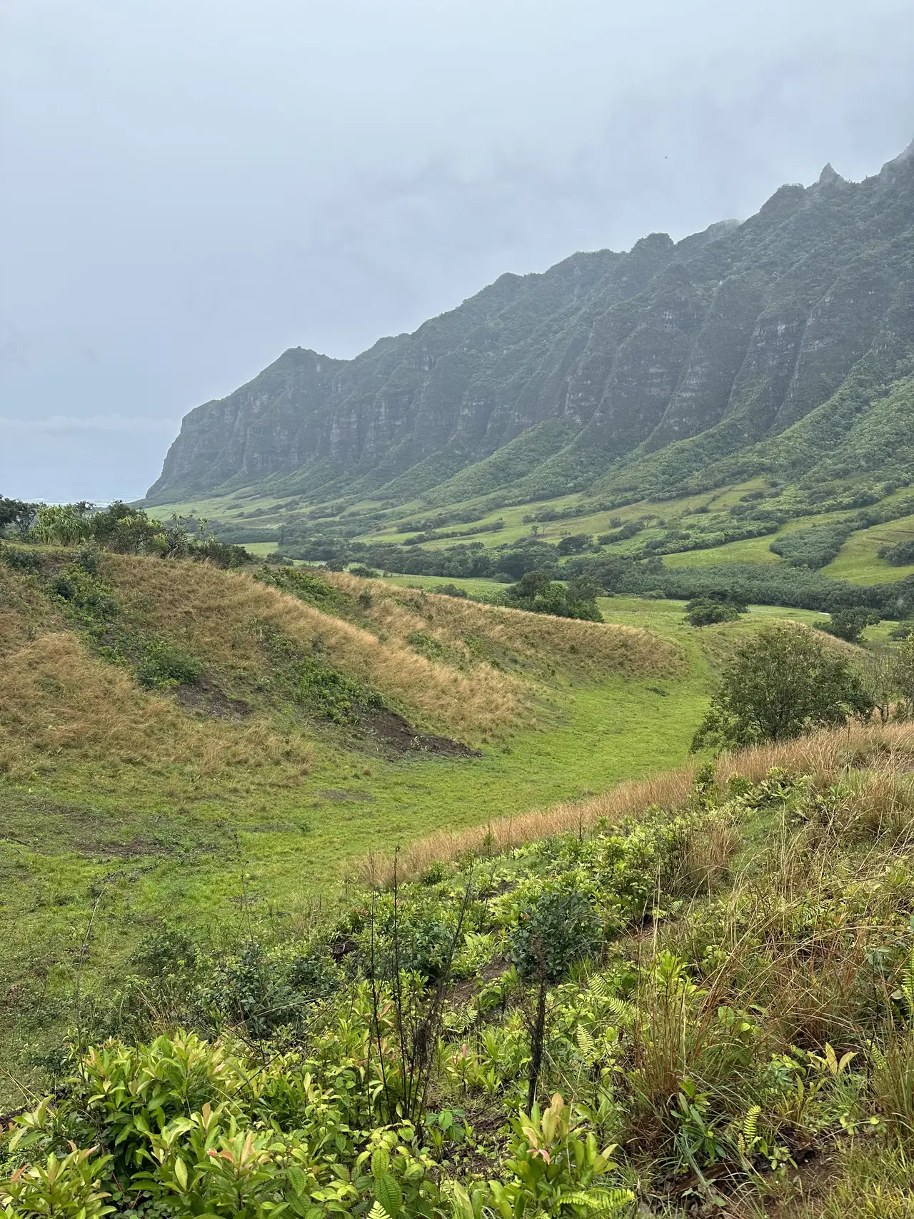 A green valley below jagged mountain cliffs at Kualoa on Oahu