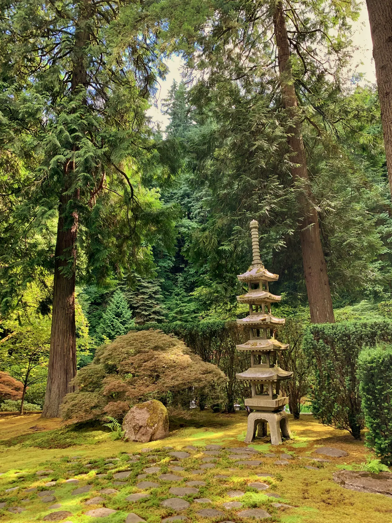 A stone pagoda lantern among moss and tall trees at the Portland Japanese Garden