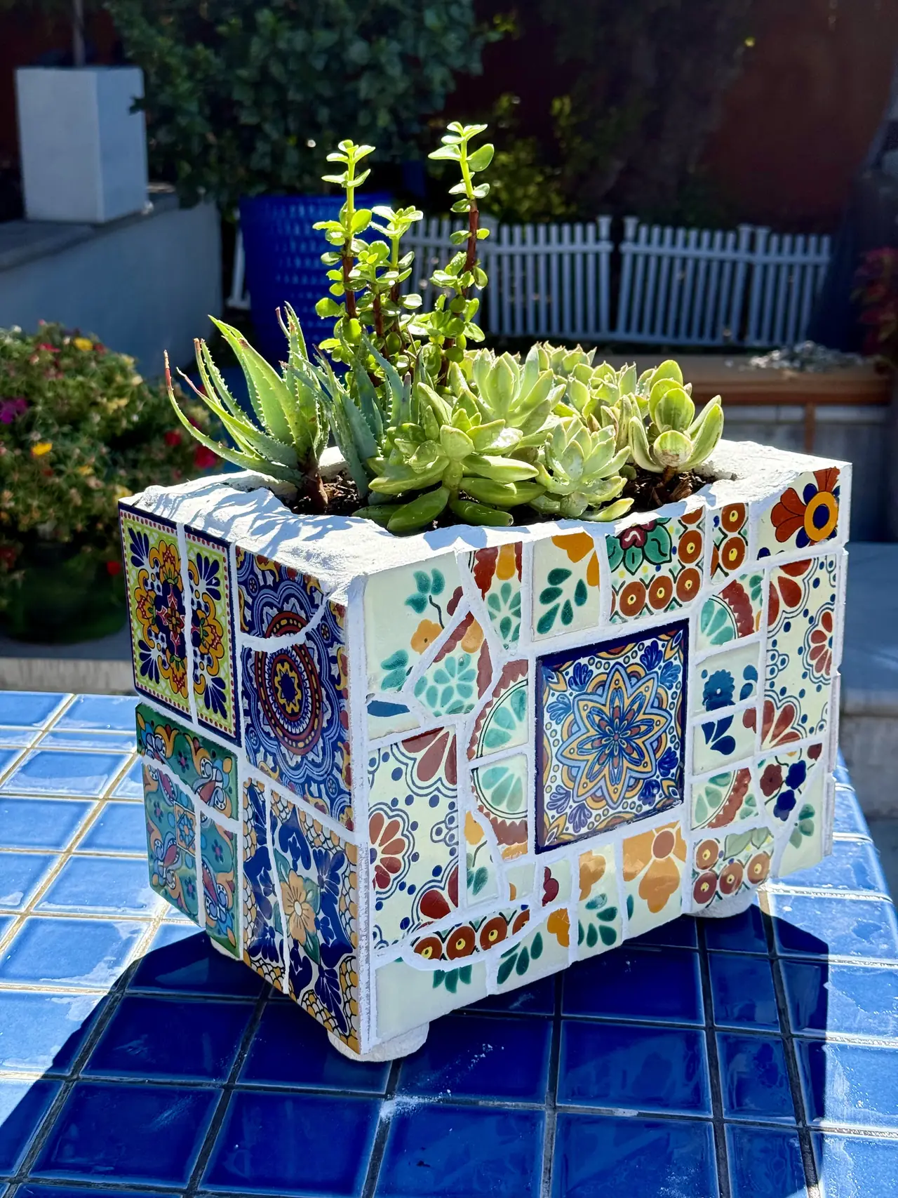A mosaic planter of colorful broken tile, filled with succulents