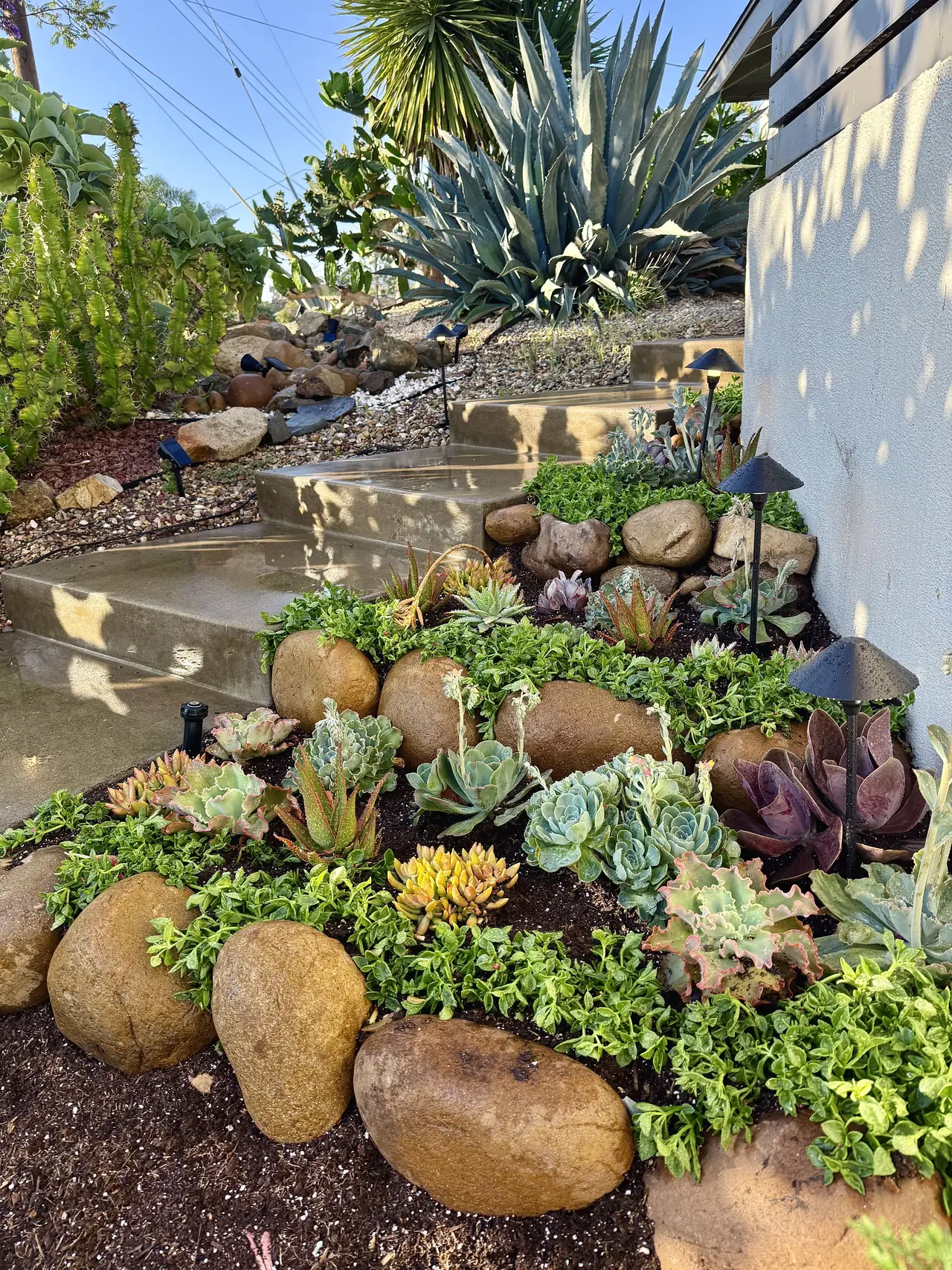 A rock garden of boulders and succulents along a sunny path