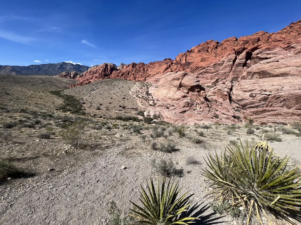 Red sandstone hills and yucca in Red Rock Canyon, Nevada