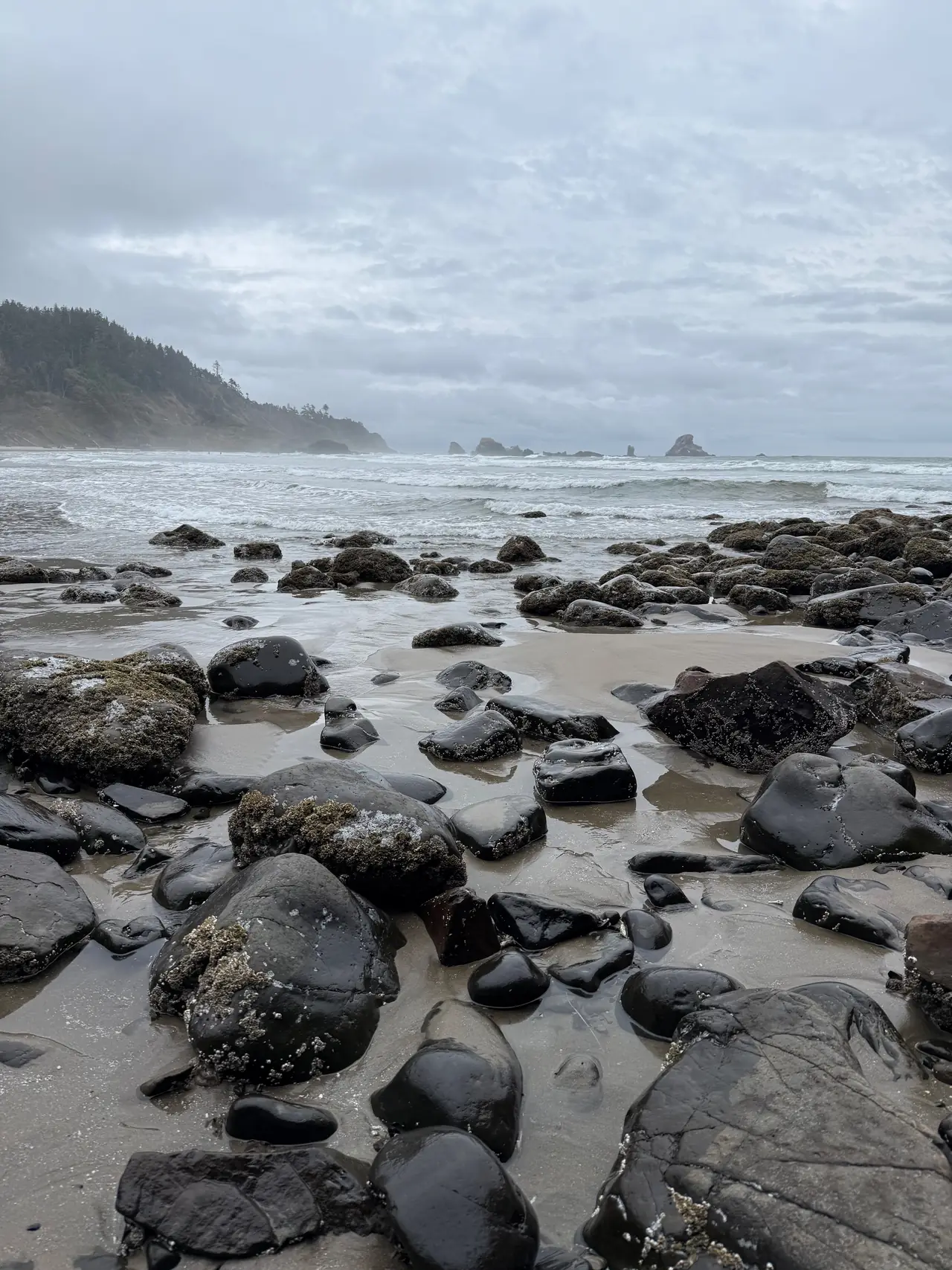 Rounded dark stones on an Oregon beach under a gray sky