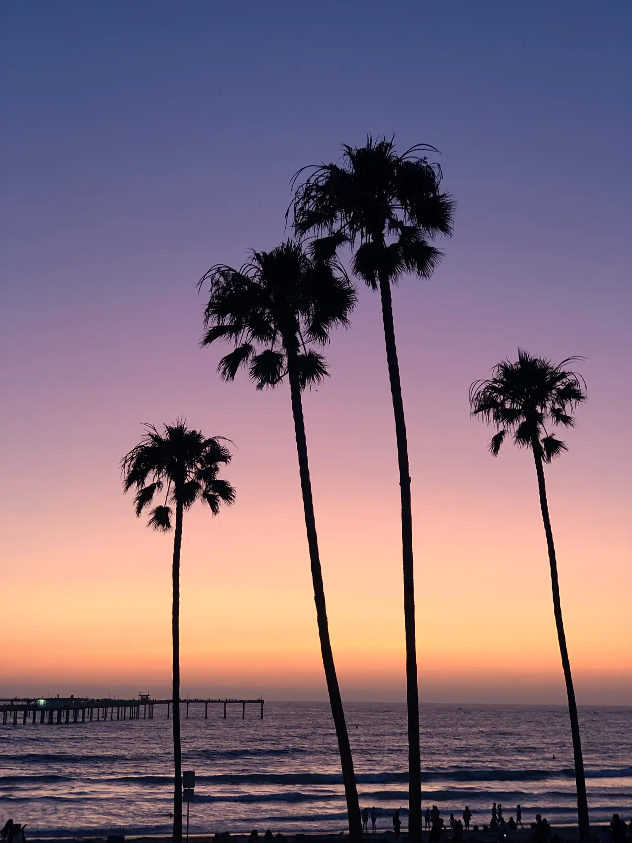 Silhouetted palm trees and a pier against a pink and orange sunset over the ocean