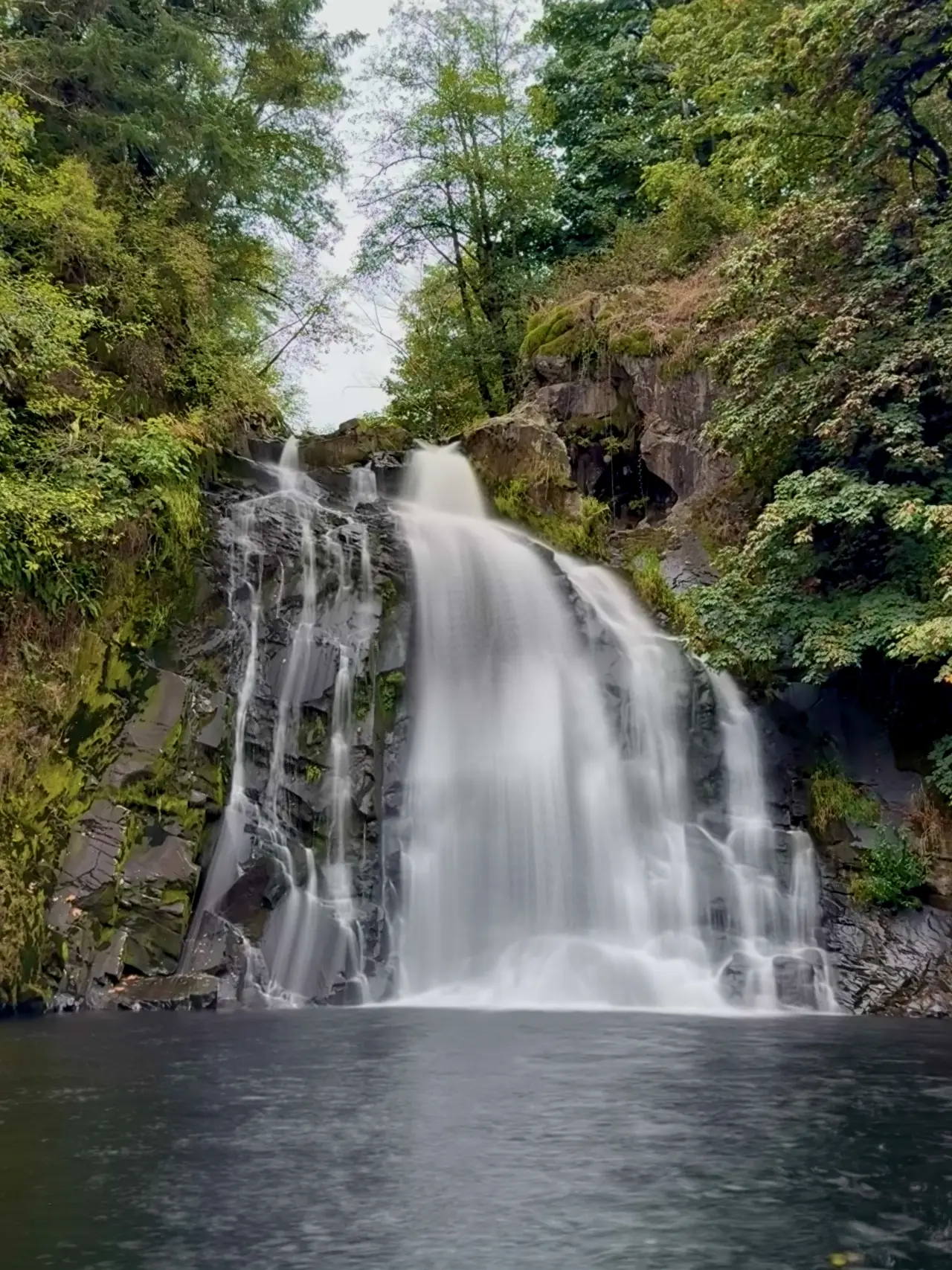 A waterfall pouring into a still pool in an Oregon forest